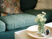 乔治娅2017年射手座占星运势