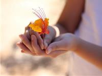 白羊座的心疼谁能懂