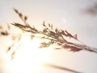 双子座的内心世界