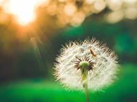 水瓶座的内心世界