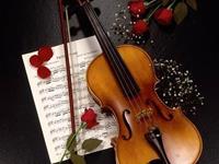 双子座如何有个好心情