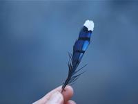 摩羯座靠什么说服别人