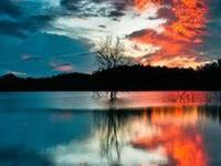 占卜你三月份的整体运势如何