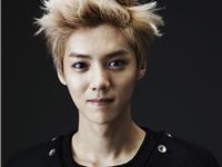 十二星座代表艺人（上）