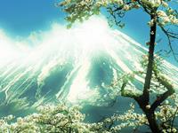 董易奇一周生肖运势（2.27-3.5）