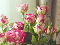 展钰凝2017年3月狮子座运势