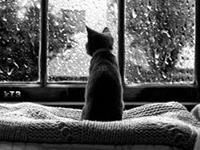 占卜你如何才能遇见美好的爱情