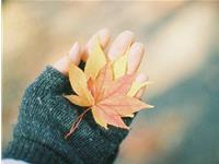 易玄一周生肖运势（3.6-3.12）