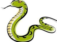 生肖蛇的2017年事业运