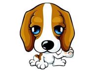 生肖狗的2017年事业运