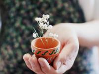 南烛2017年3月星座财富运势