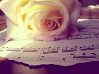 金牛座勤劳指数