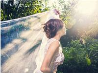 最喜欢一个人静静独处的生肖