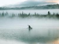 占卜失败了你还能东山再起吗