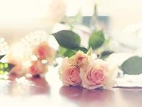 竹猫星球一周塔罗运势(3.13-3.19）