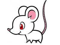 生肖鼠如何应对诈骗电话