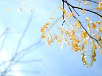 双子座好说话指数揭秘