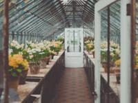 测你是个只看中结果的人吗