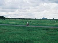 詹妮弗一周爱情运势（4.3-4.9）