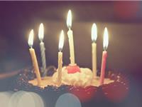 金牛座放人鸽子的指数有多高