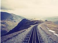 天秤座放人鸽子的指数有多高