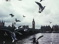 占卜你身边谁最懂你