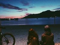 占卜你适合哪种恋爱模式