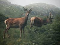 占卜你最近会被什么事影响心情