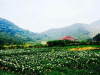 就是这么磨人！这些星男爱你在心口难开