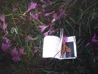 全民揭秘摩羯座真面目