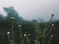 童年阴影是否还在影响着你