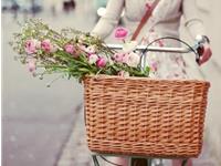 闹闹女巫店2017年4月塔罗运势