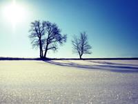 双子座性格分析