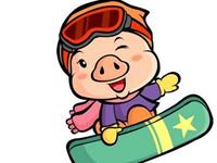 生肖猪如何看待另一半出轨