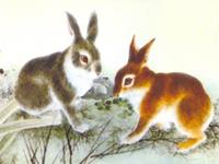 生肖兔忘记一个人要多久