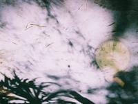 岁月催人老，这些星座害怕人生褪色