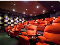 十二生肖谁不会去电影院看电影