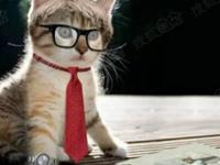 十二星座，谁工作最有计划性