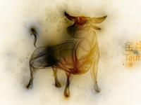 柒爸2017年5月金牛座运势