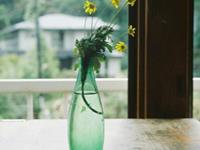 水蓝色眼泪2017年5月狮子座运势