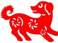 2018年是什么生肖年,2018年属什么生肖