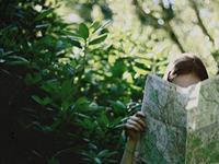 凰洛-枂2017年5月狮子座运势