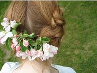 最不愿意将就的生肖