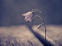 摩羯座哪件事越想越后悔