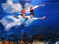 12星座期待的爱情居然是酱紫的（上）