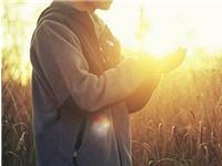 最适合当伴侣的生肖男