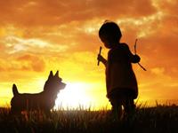 12星如何看待“大器晚成”这件事？（上）