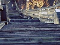 给金牛座的毒鸡汤