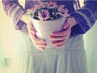 竹猫星球一周塔罗运势(5.22-5.28）