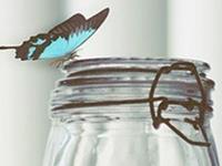 白羊座人缘指数有多高